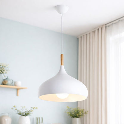Minimalist Hanging Light Fixture